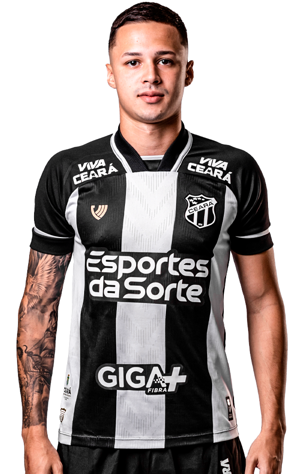 Saiba mais sobre: Matheus de Araújo Andrade  (8)  