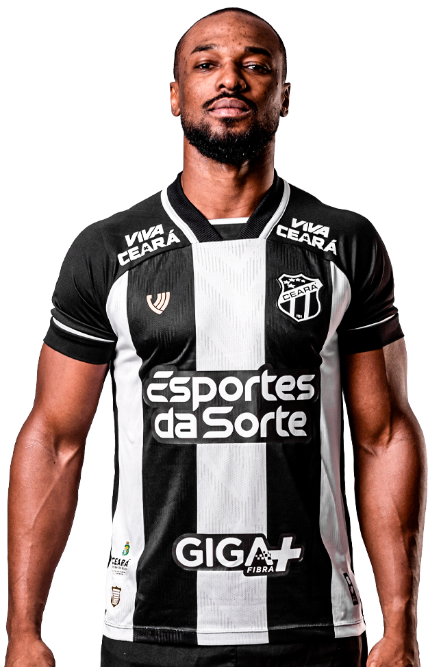 Saiba mais sobre: Luiz Otávio Anacleto Leandro  (13)  