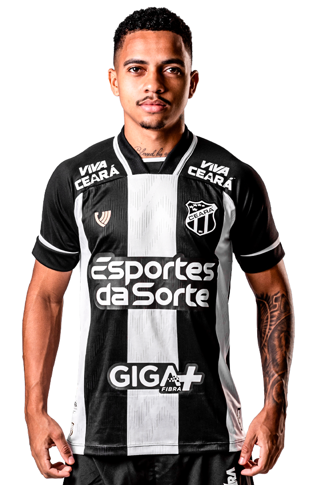 Saiba mais sobre: João Victor Vieira Ferreira Sousa  (17)  