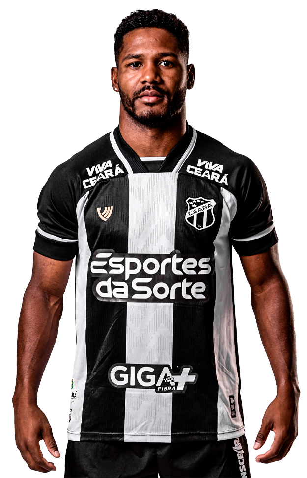 Saiba mais sobre: Fabiano Josué de Souza Silva  (70)  