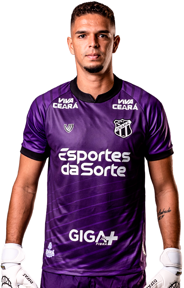 Saiba mais sobre: Bruno Ferreira Ventura Diniz  (94)  