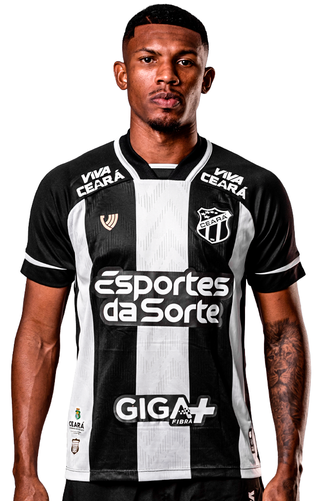 Saiba mais sobre: Leanderson da Silva Genésio  