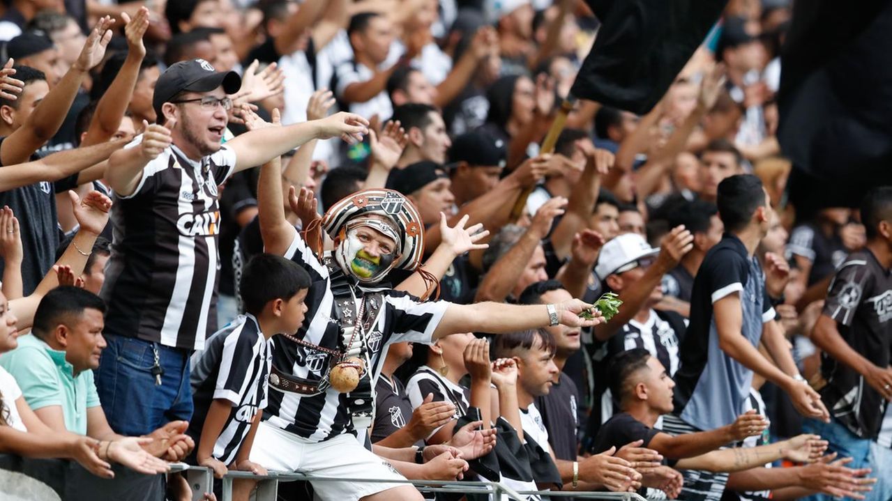 Confira informações detalhadas da maior base de sócios do Norte-Nordeste